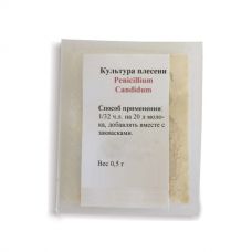 Культура плесени Penicillium Candidum в Пскове